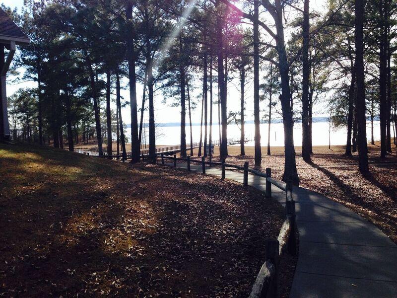 George T. Bagby State Park And Lodge Fort Gaines Bagian luar foto
